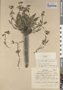 LE 01204190