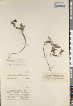LE 01204191