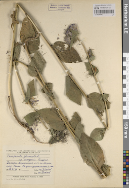 LE 01204192