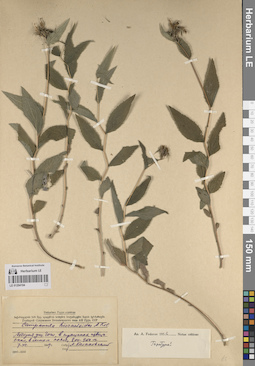 LE 01204194