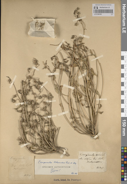 LE 01204195