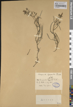 LE 01204197