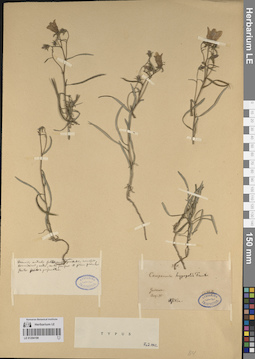 LE 01204198