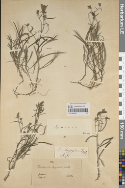 LE 01204199