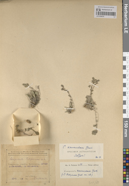 LE 01204210
