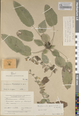 LE 01204214