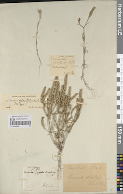 LE 01205062