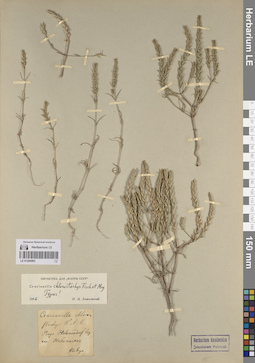 LE 01205063