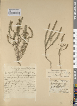 LE 01205064