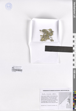 LE 01259706