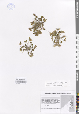 LE 01259742