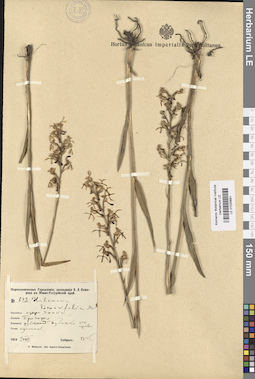 LE 01033691