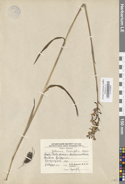 LE 01033693
