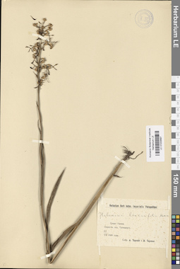 LE 01033697
