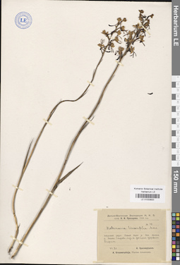 LE 01033820