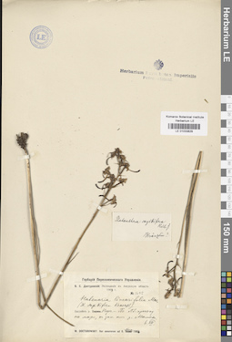 LE 01033829