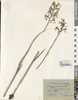 LE 01251709