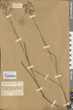 LE 01251718