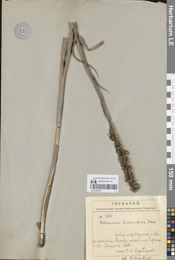 LE 01251721