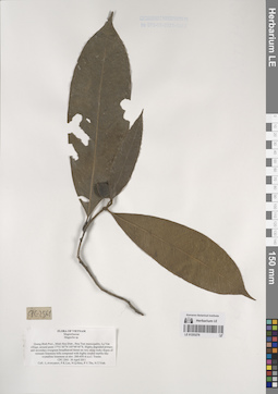 LE 01253276