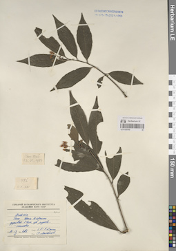 LE 01253702