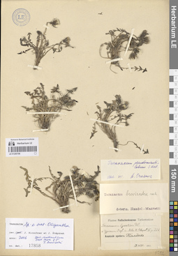 LE 01265198