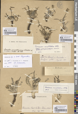 LE 01265203