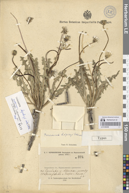 LE 01265258