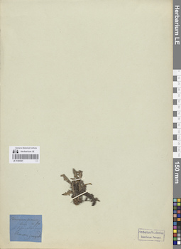 LE 01265301