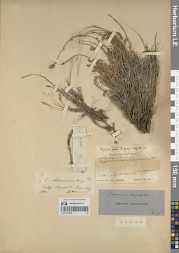 LE 01071859