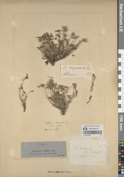 LE 01071860