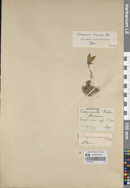 LE 01071862