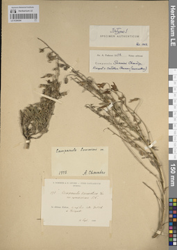 LE 01204304