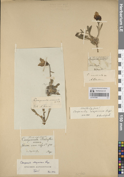 LE 01071863
