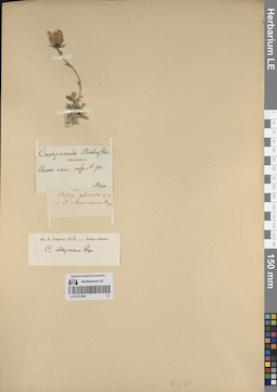 LE 01071864