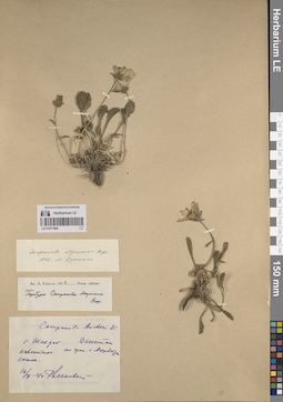 LE 01071866