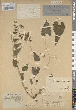 LE 01204310