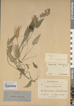 LE 01204319