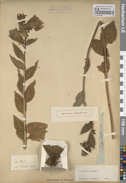 LE 01204242