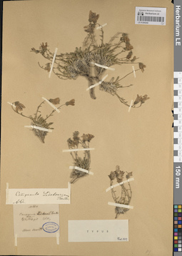 LE 01204244
