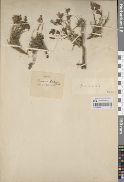 LE 01204245