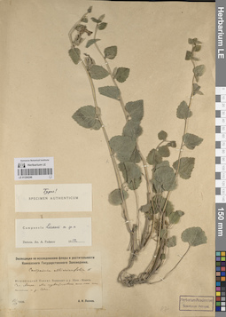 LE 01204246