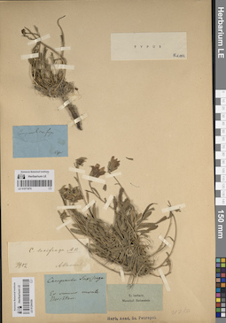 LE 01071870