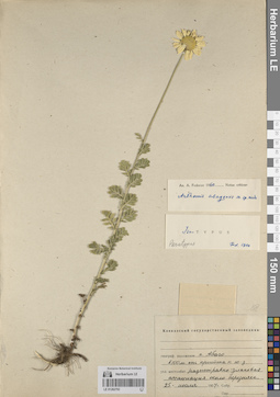 LE 01262793