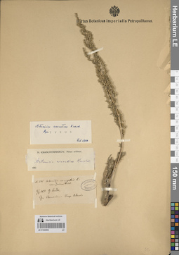 LE 01262902