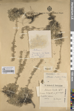 LE 01262927