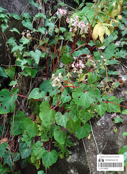 LE 01124552