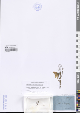 LE 01251778