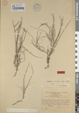 LE 01121744