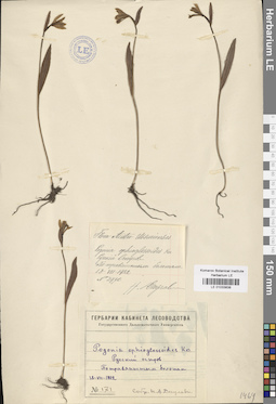 LE 01033838